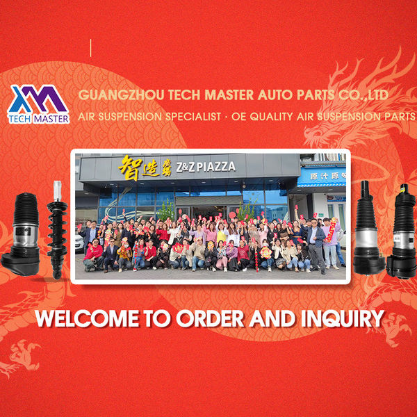 চীন Guangzhou Tech Master Auto Parts Co.Ltd 