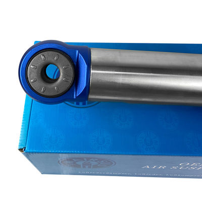 ফোর্ড এফ১৫০ এসভিটি র্যাপ্টর এসটিএক্স এক্সএলটি এয়ার সাসপেনশন শক অ্যাবসর্বার OEM এএসএইচ-৮৫৯৭৫