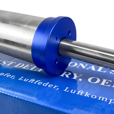 ফোর্ড এফ১৫০ এসভিটি র্যাপ্টর এসটিএক্স এক্সএলটি এয়ার সাসপেনশন শক অ্যাবসর্বার OEM এএসএইচ-৮৫৯৭৫