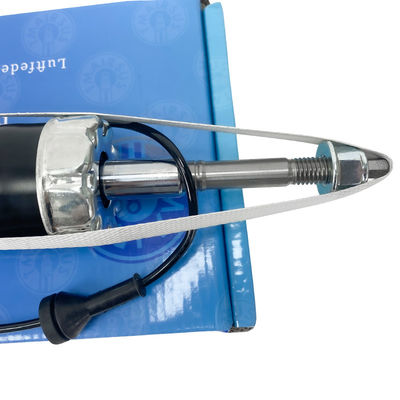 লিংকন এমকেএস এমকেটি OEM DE9Z18125J এর জন্য রিয়ার এয়ার সাসপেনশন শক