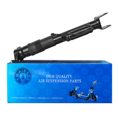 2513202231 সামঞ্জস্যযোগ্য মার্সিডিজ-বেঞ্জ এয়ার সাসপেনশন ডাব্লু 251/আর 300 রিয়ার