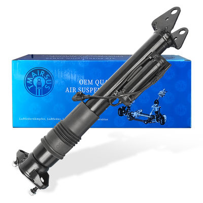 2513202231 সামঞ্জস্যযোগ্য মার্সিডিজ-বেঞ্জ এয়ার সাসপেনশন ডাব্লু 251/আর 300 রিয়ার