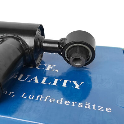 এয়ার শক এয়ার ব্যাগ সাসপেনশন এয়ার সাসপেনশন বেন-জেড ডাব্লু২১২ পিছন বাম