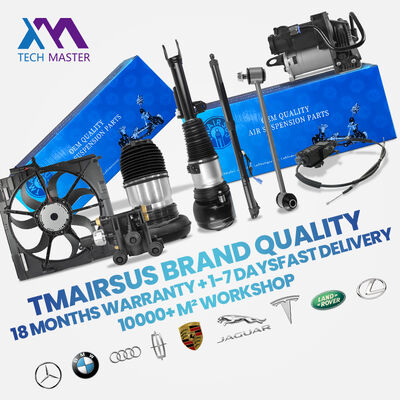 অটো পার্টস এয়ার সাসপেনশন শক শোষক এয়ার স্ট্রুট বেনজ R171 1713200130 1713260100 এর জন্য