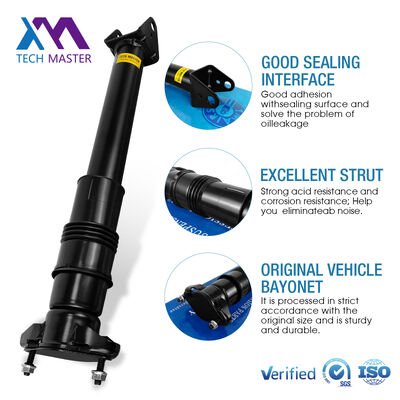 মার্সিডিজ-বেঞ্জ W251/R300 পিছনের এয়ার সাসপেনশনের জন্য এয়ার শক অ্যাবজরবার 2513202231 2513200730