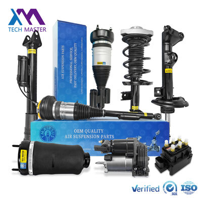 মার্সিডিজ-বেঞ্জ W251/R300 পিছনের এয়ার সাসপেনশনের জন্য এয়ার শক অ্যাবজরবার 2513202231 2513200730