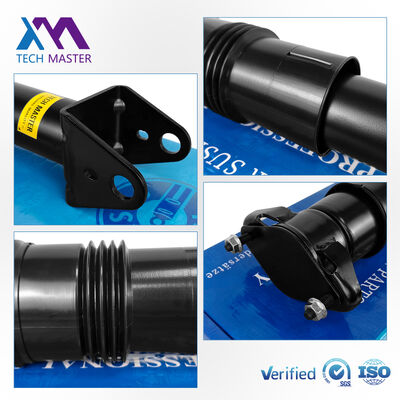 মার্সিডিজ-বেঞ্জ W251/R300 পিছনের এয়ার সাসপেনশনের জন্য এয়ার শক অ্যাবজরবার 2513202231 2513200730