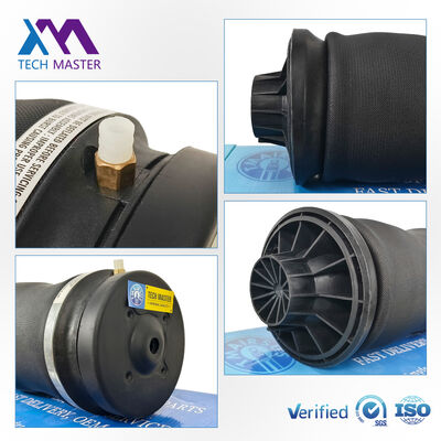 মার্সেডিজ বেনজ X164 ML300 1643200625 2923200525 1643200825 এর জন্য এয়ার সাসপেনশন স্প্রিং