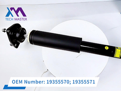 টেক মাস্টার ক্যাডিল্যাক সিটিএস রিয়ার শক অ্যাসোবজার এসি