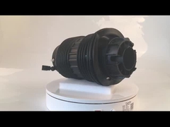 প্যারামেরা এয়ার স্প্রিং রিয়ার