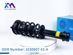টেক মাস্টার টেসলা মডেল এস সামনের শক শোষক সম্পূর্ণ 1030607-01-এ