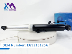 টেক মাস্টার লিংকন এমকেটি রিয়ার বাম শক অ্যাਬਸোর্বার ADS DE9Z18125J, DE9Z18125B, DE9Z18125G সহ