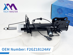 টেক মাস্টার লিংকন এমকেএক্স সামনের বাম শক শোষক এডিএস F2GZ18124AV সহ