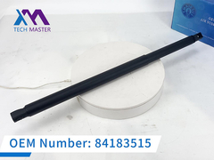 টেক মাস্টার এসকেলেড পাওয়ার লিফটগেট অ্যাকচুয়েটর 2015-2020 ডান 84183515