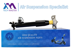 টেক মাস্টার রিয়ার বাম শক শোষক স্ট্রট লিঙ্কন MKX F2GZ18125Z জন্য