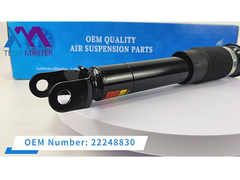 টেক মাস্টার রিয়ার শক শোষক ক্যাডিল্যাক সি 5 22248830 এর জন্য স্ট্রট শক শোষক