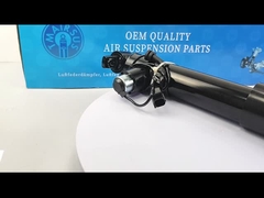 টেক মাস্টার TMAIRSUS লিঙ্কন MKZ DG9Z18125A এর জন্য ডানদিকে পিছনের শক শোষক