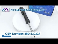 টেক মাস্টার TMAIRSUS অডি Q5 Q3 A4 S4 A5 S5 এর জন্য সামনের শক অ্যাবোরবার ADS 8R0413030J সহ
