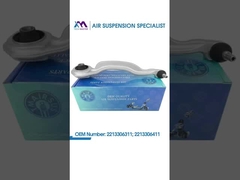 টেক মাস্টার TMAIRSUS BENZ S-CLASS W221 2213306311; 22133064 এর জন্য নীচের সামনের বাম এবং ডান নিয়ন্ত্রণ বাহু