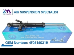 টেক মাস্টার TMAIRSUS আউডি A6L/C6 4F0616031H এর জন্য রিয়ার বাম স্ট্রট শক শোষক