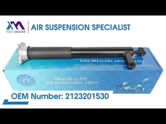 টেক মাস্টার TMAIRSUS BENZ W212 2 Matic 2123231300 এর জন্য সামনের কয়েল শক