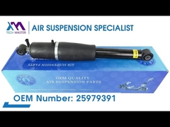 টেক মাস্টার টিএমএআইআরএসইউএস ক্যাডিলাক এসকালেড, শেভ্রোলেট, অ্যাভালাঞ্চ, সাববার্বান, তাহো এর জন্য পিছনের শক শোষক;