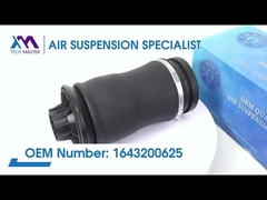 টেক মাস্টার TMAIRSUS Mercedes-Ben W164/ML350 ML500 1643200625 এর জন্য রিয়ার এয়ার স্প্রিং