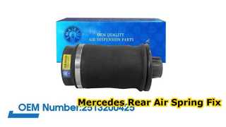 মার্সিডিজ-বেঞ্জ W251/R350 R500 রিয়ার এয়ার স্প্রিং