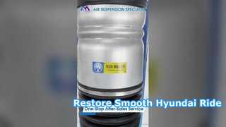 RAM 1500 সামনে বাম এবং ডান এয়ার সাসপেনশন শক 04877147AF এর জন্য ডজ