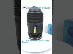 "টেক মাস্টার TMAIRSUS Porsche Panamera 971 Bentley Flying Spur Continental GT-এর জন্য পিছনের বামে