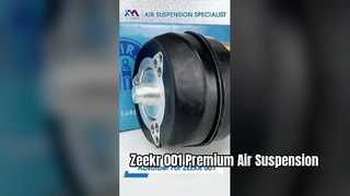 Zeekr 001 এর জন্য টেক মাস্টার TMAIRSUS এয়ার সাসপেনশন শক শোষক